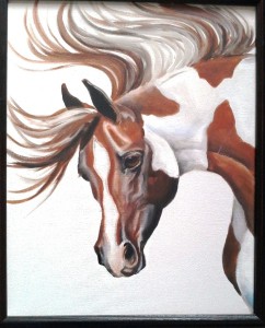 Arabian_Paint_Horse_low_res