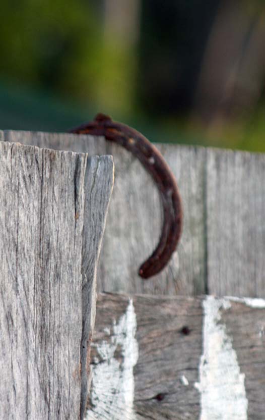 why-are-horseshoes-considered-lucky-carmelrowley-au