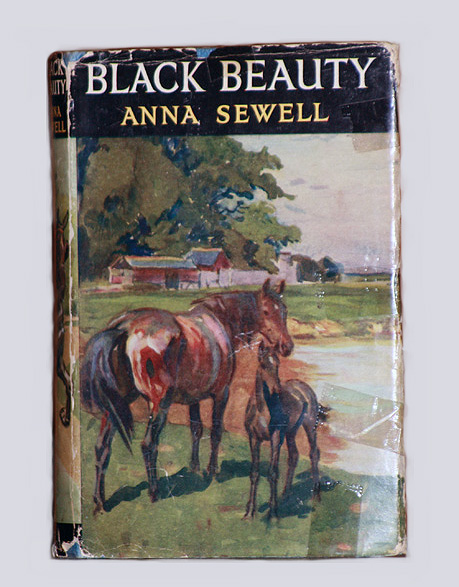 Black Beauty, Plot, Characters, & Facts