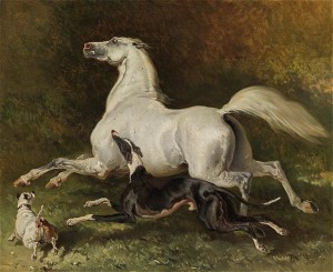 Alfred-de-dreaux-a greyarabstalliongalloping with dogs