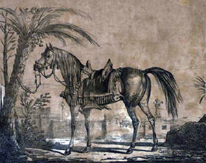 CarleVernetArab horse